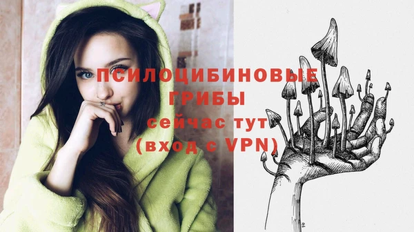 мяу мяу мука Абинск